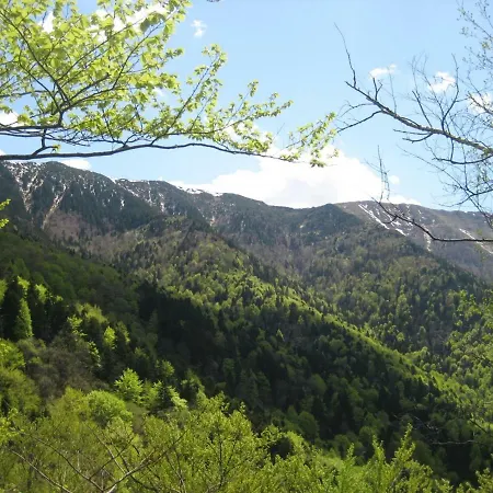 Zdravets Pensiune Bercoviţa