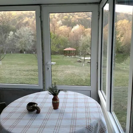 Zdravets 3* Berkovica