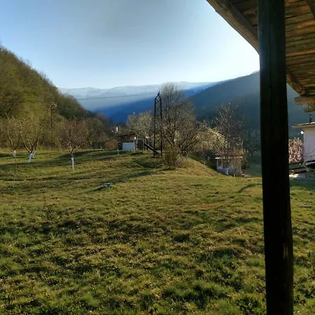 Pensiune Zdravets 3*