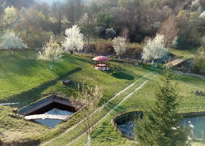 Zdravets ゲストハウス 3*