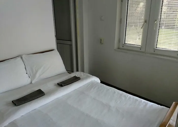 Zdravets ベルコヴィツァ